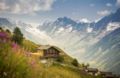 Alpenhotel zur Wildi ホテルの詳細