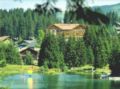 Hotel Waldhaus am See ホテルの詳細