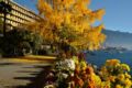 Royal Plaza Montreux & Spa ホテルの詳細