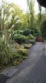 Lindores Bed and Breakfast ホテルの詳細