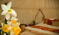 Plush Tents Glamping Hotel ホテルの詳細